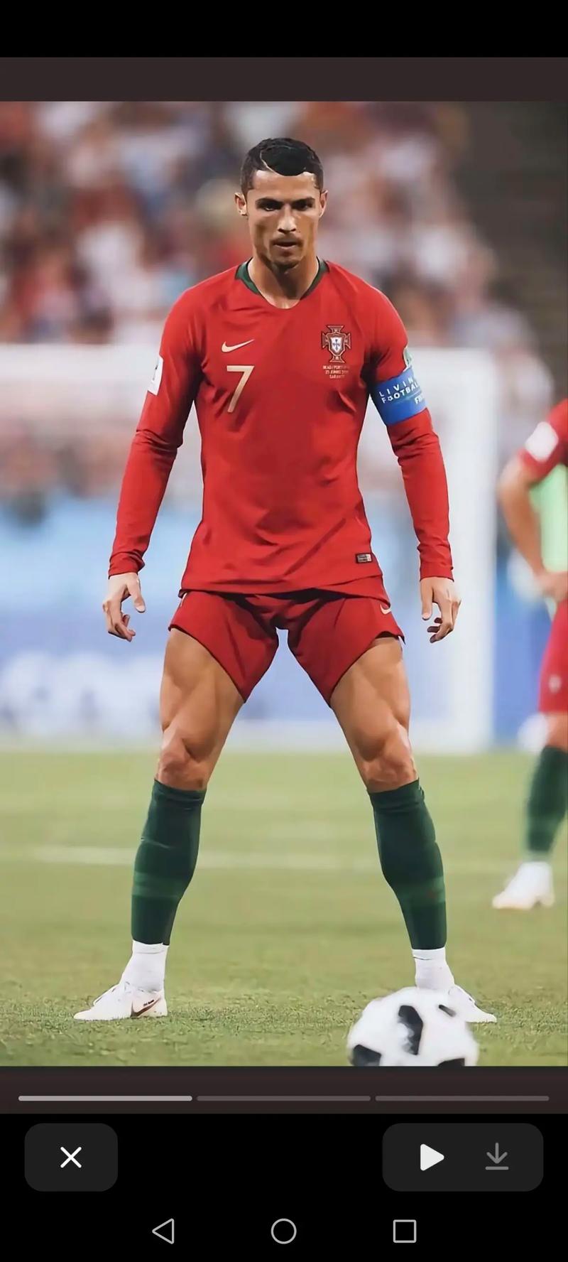 【博彩娱乐】强势复苏